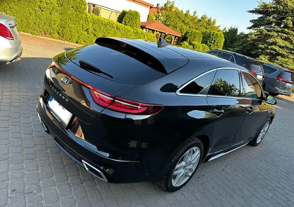 siedlce Kia Pro_cee'd cena 53500 przebieg: 54600, rok produkcji 2021 z Siedlce